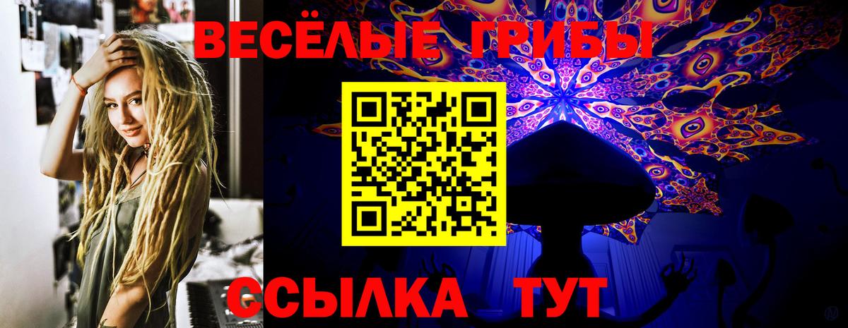 Ноябрьск  Псилоцибиновые грибы Psilocybine cubensis  Вход с VPN  Галлюциногенные грибы MAGIC MUSHROOMS 